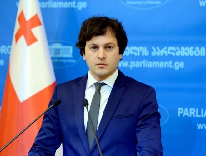 New chairman elected to Georgian ruling party