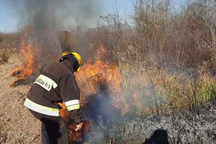 MES: Fire in Hirkan National Park extinguished in one direction - VIDEO