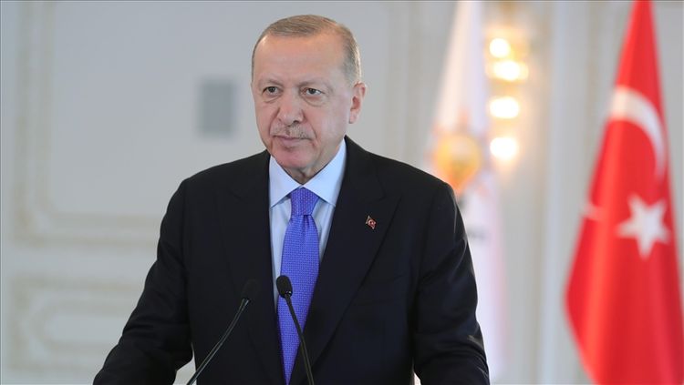 Turkey activating its potential in various fields: Erdogan