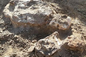 Archaeological sites discovered on the territory of the Keshikchidag State Historical and Cultural Reserve - PHOTOS