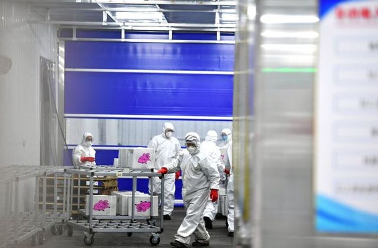 China reports decline in new COVID-19 cases