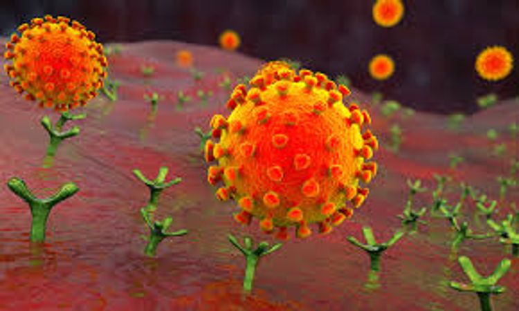Melatonin synthesized in the lungs acts as a barrier against SARS-CoV-2