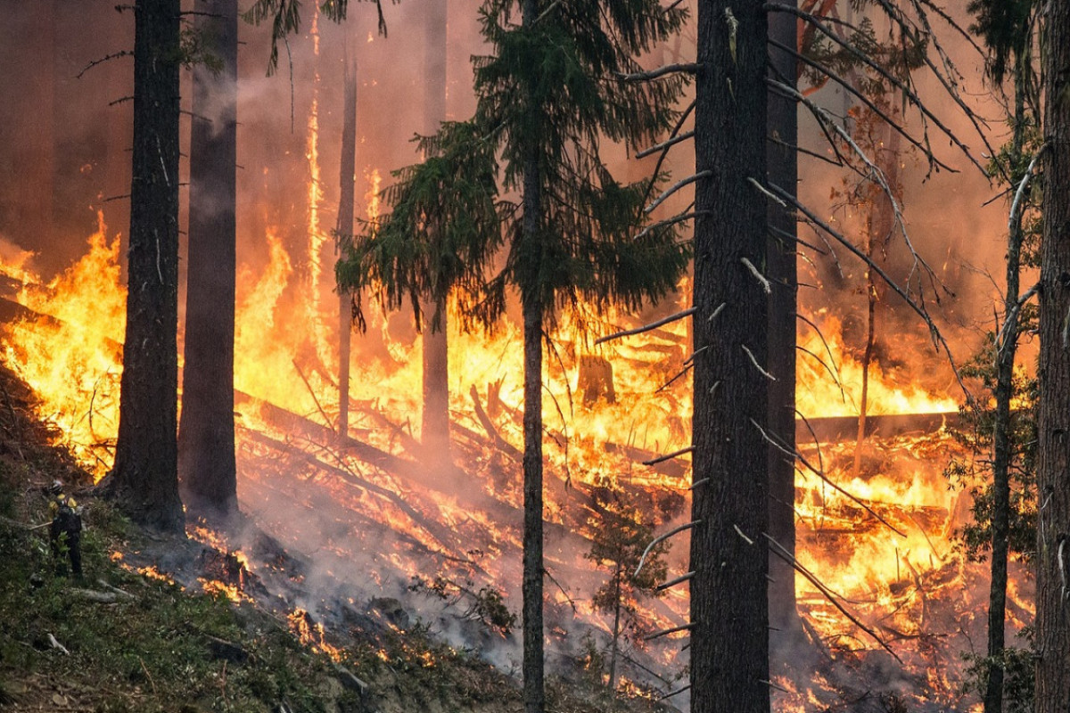 Forest fire kills one in Russia’s Chelyabinsk region