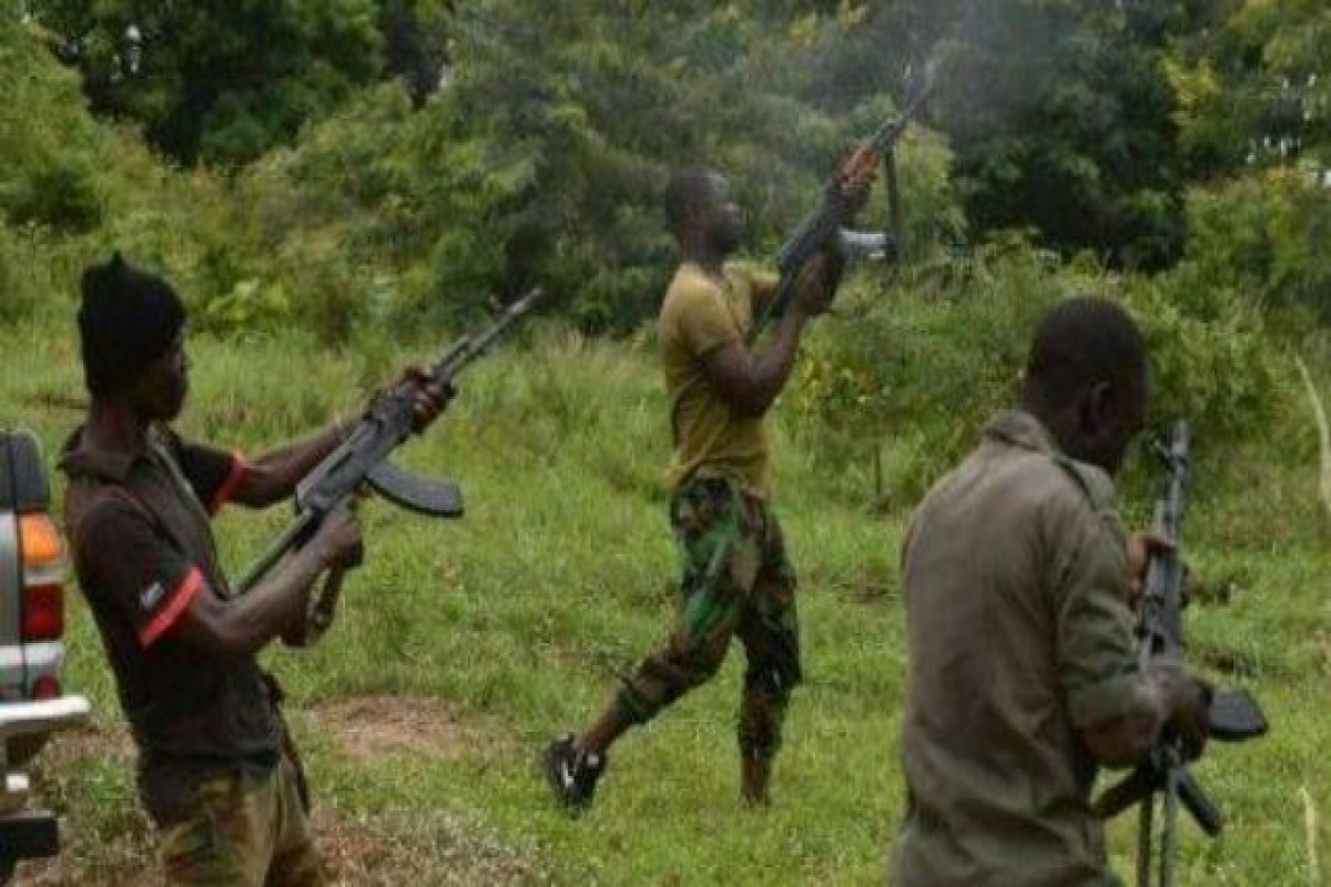 Gunmen kill 222, kidnap 774 in 3 months in NW Nigerian state: official