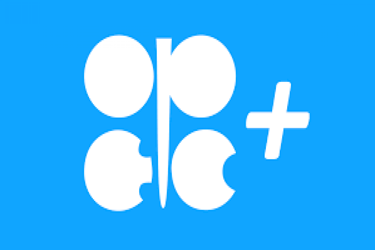 OPEC+ may hold ministerial meeting on July 18