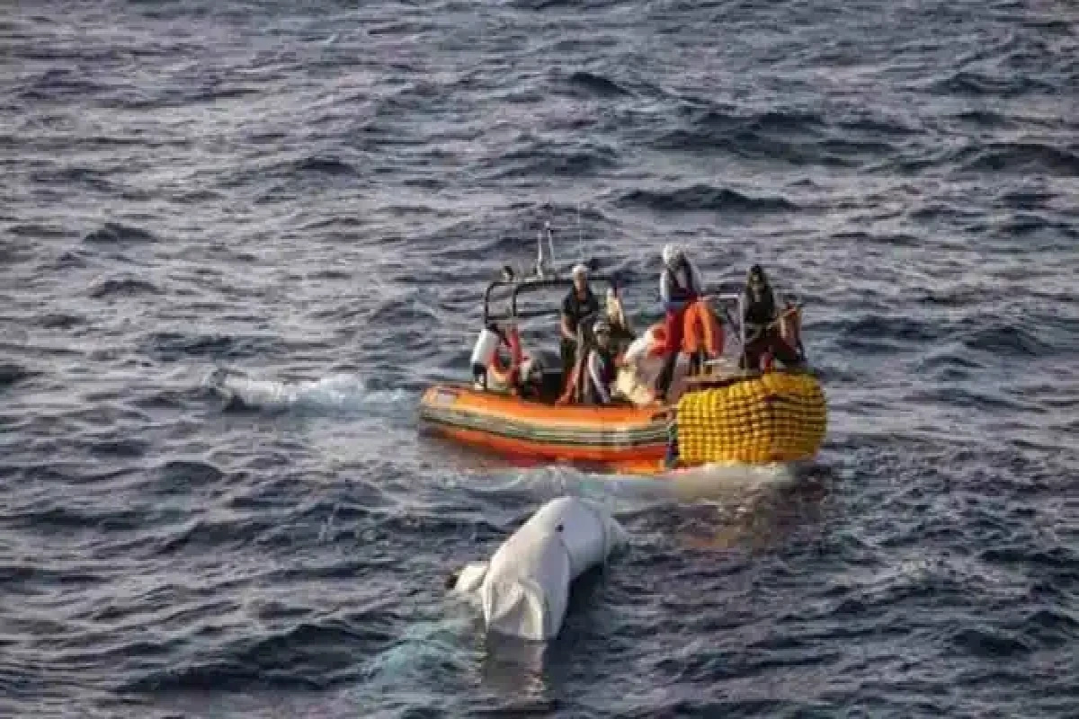 At least 24 killed, 31 remain missing after storm strikes fishing ships in central Indonesia