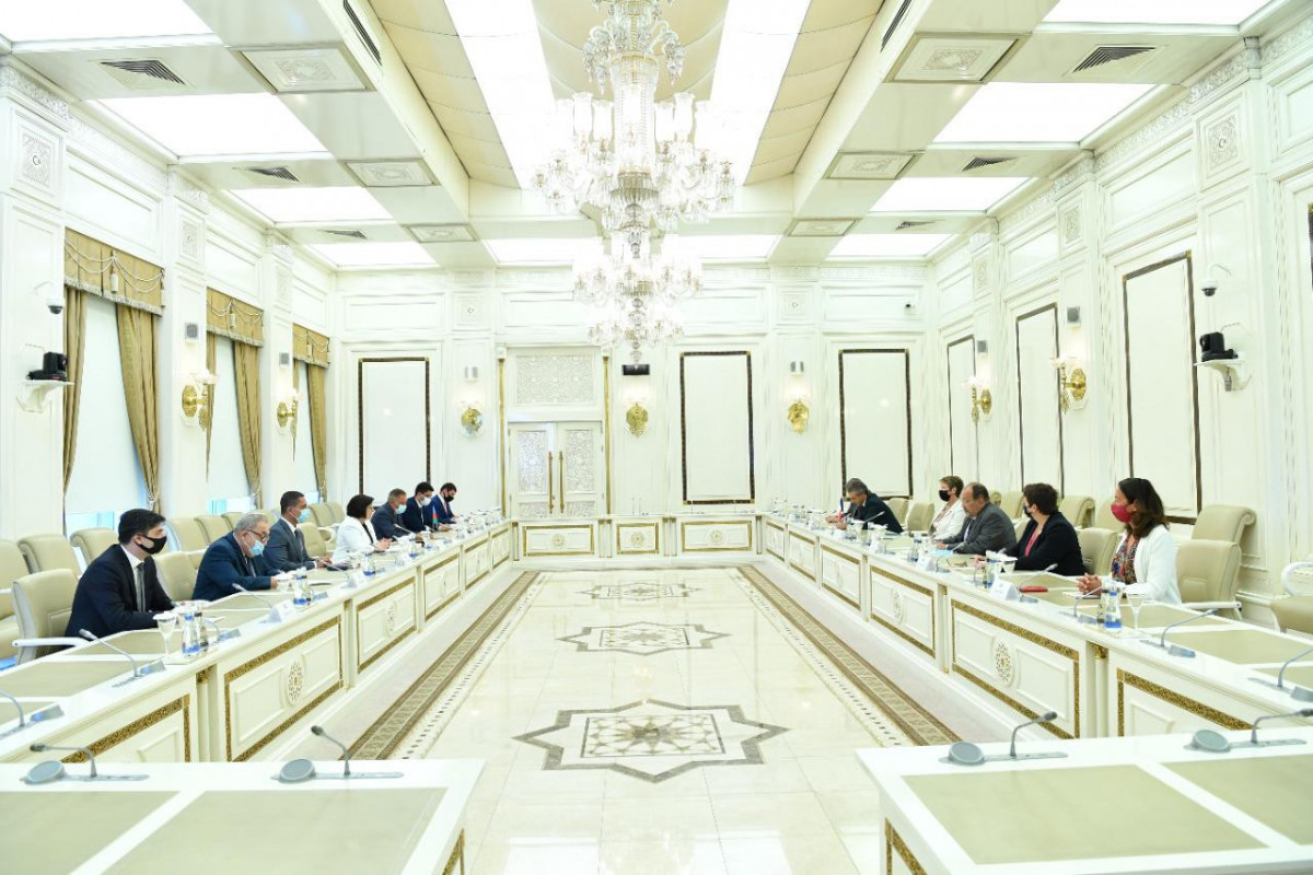 Meeting with the Speaker of the Milli Majlis Sahiba Gafarova, the delegation of the French National Assembly