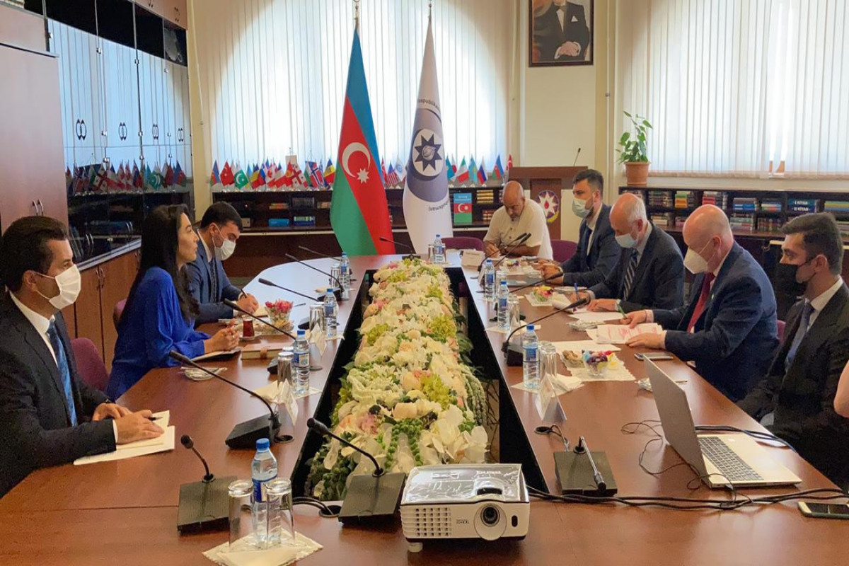 Azerbaijani Ombudsman receives PACE representatives