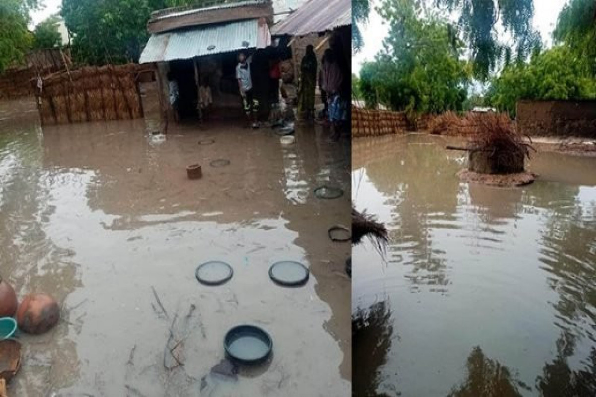 2 killed, 1,500 houses damaged by heavy downpour in north Nigeria