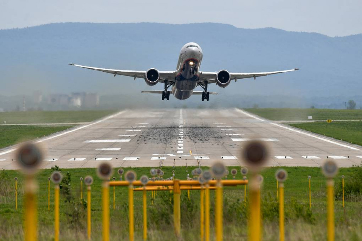 Russia considers resuming flights with Georgia, senator says