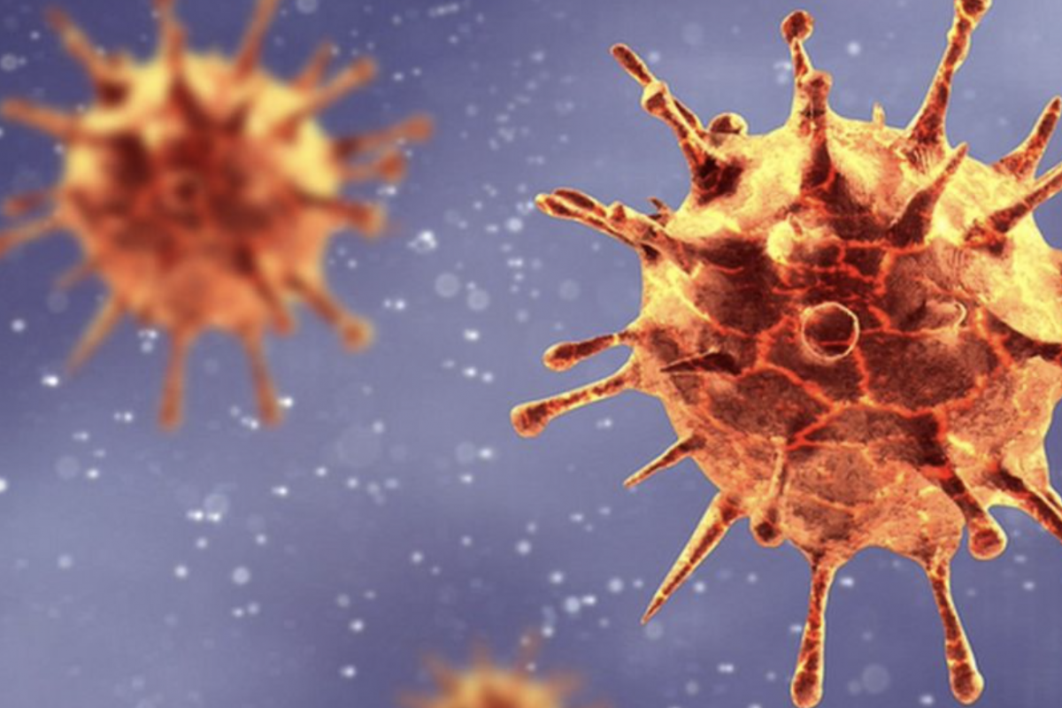 No COVID-19 mutations causing more severe symptoms recorded so far, says official