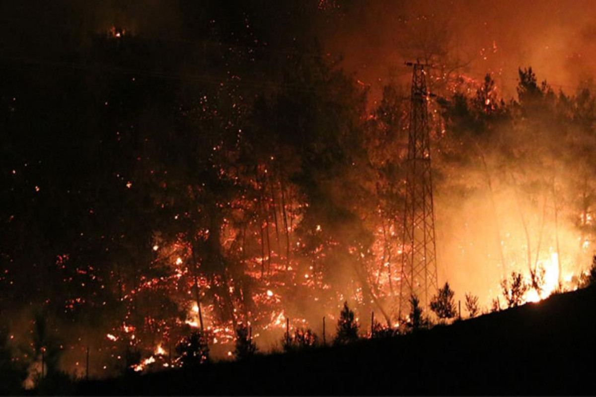 Forest fire in Turkey