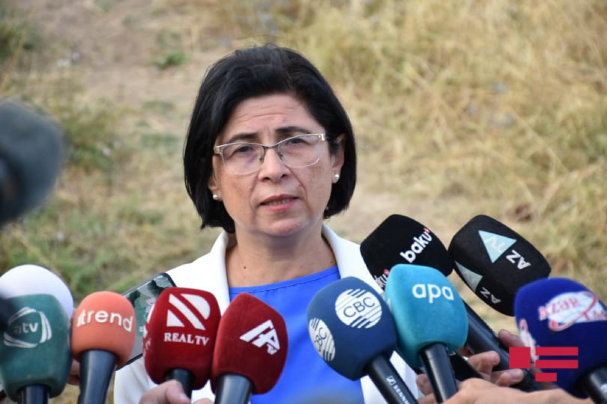 Farah Aliyeva appointed as Head of Humanitarian Policy, Diaspora, Multiculturalism and Religious Affairs Department of PA