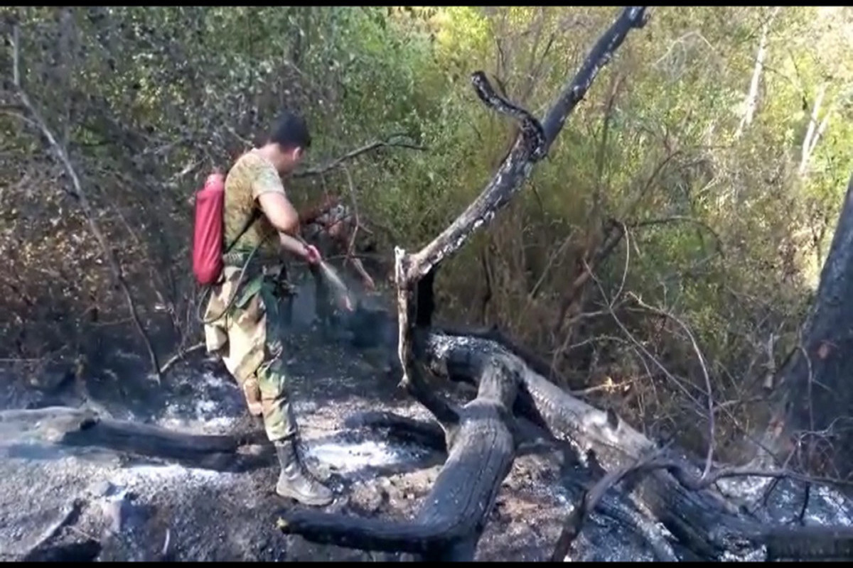 Turkish and Azerbaijani firefighters together involved in extinguishing the fire