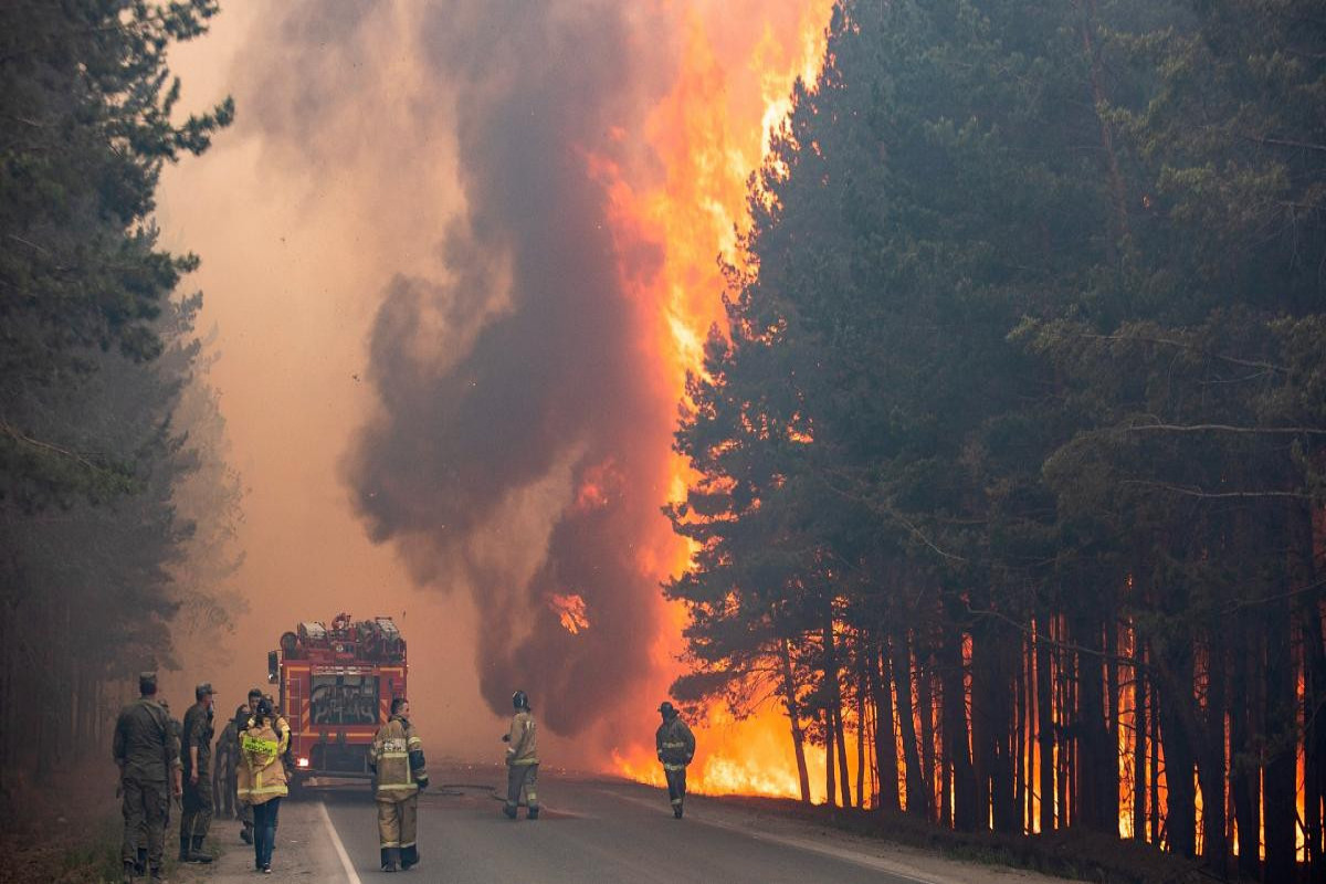 Forest fire in Turkey
