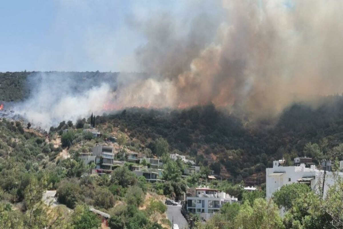 Forest fires in Turkey