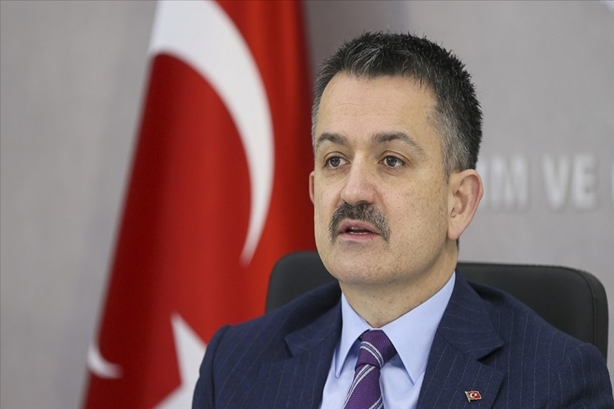 Bekir Pakdemirli