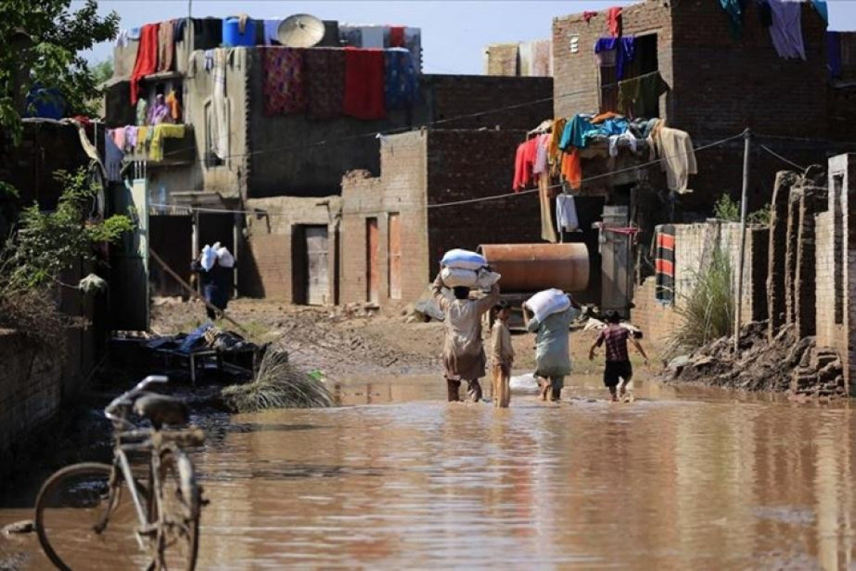 10 killed, 3 injured in rain-related incidents in Pakistan's Punjab