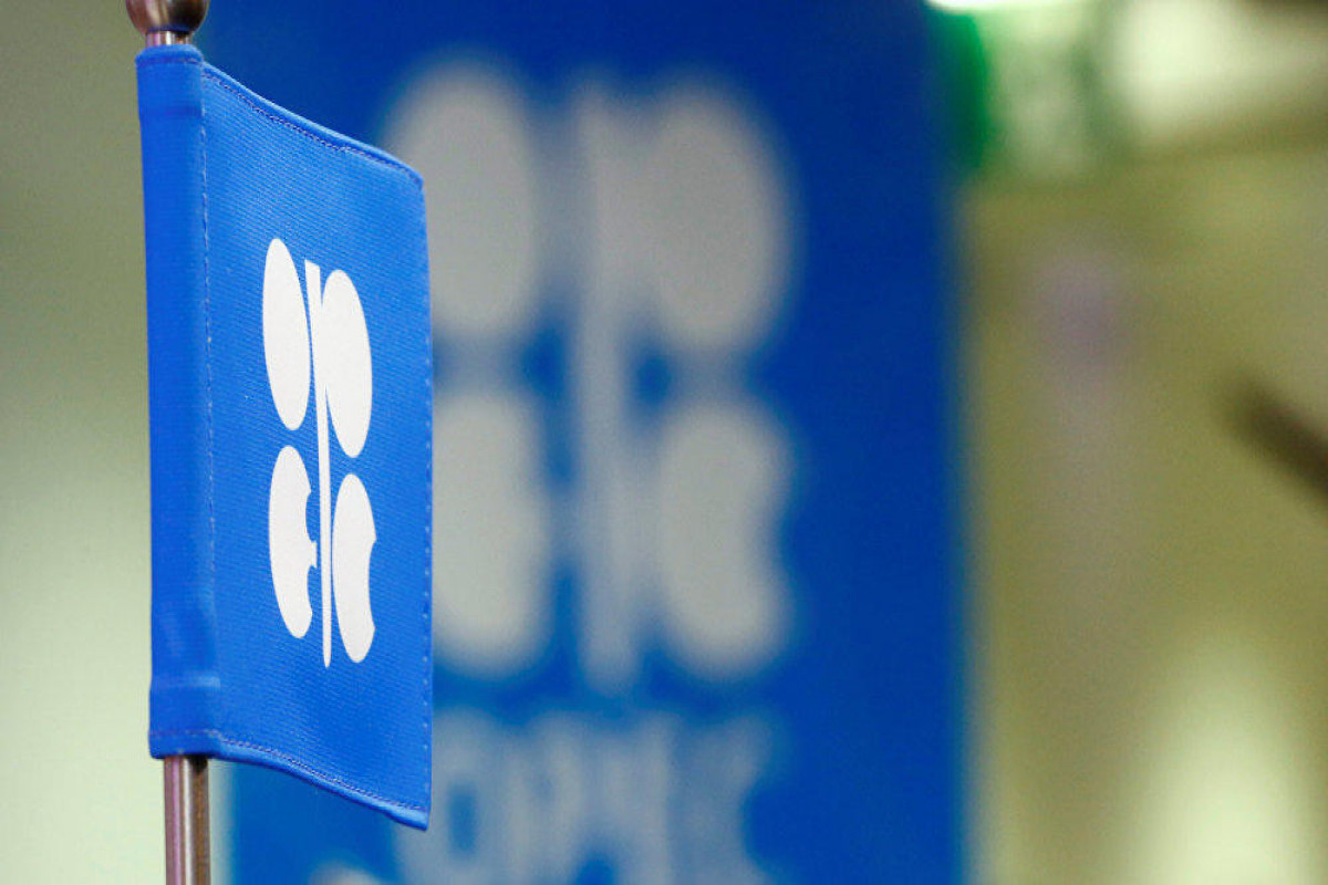 OPEC+ monitoring committee starts discussing oil market scenarios