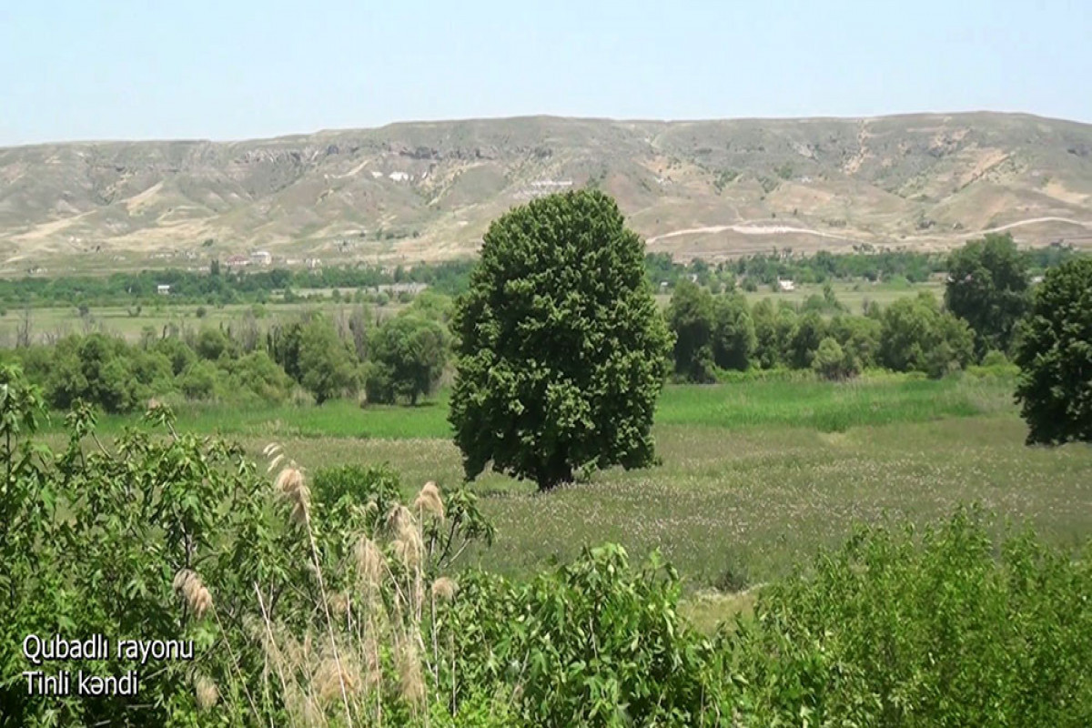 Azerbaijani Defence Ministry disseminates video footage of the Tinli village of the Gubadli region -VIDEO 