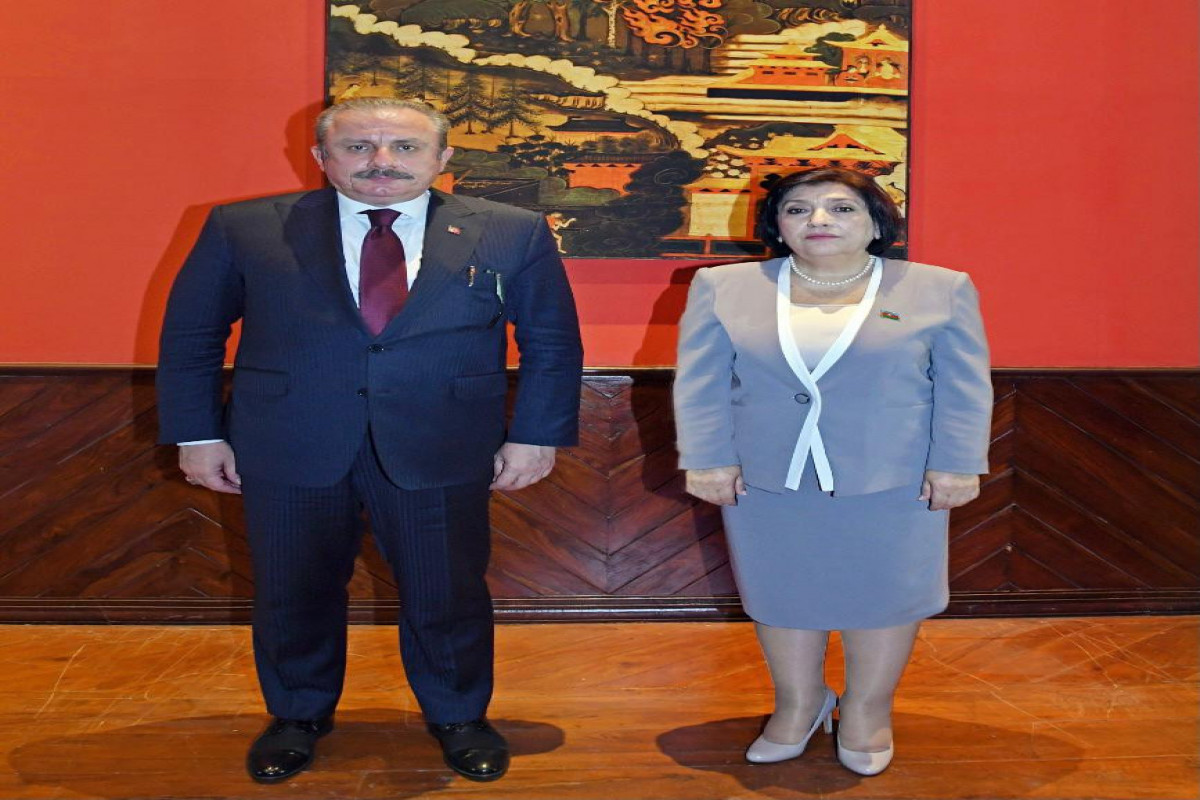 Sahiba Gafarova meets with Mustafa Shentop