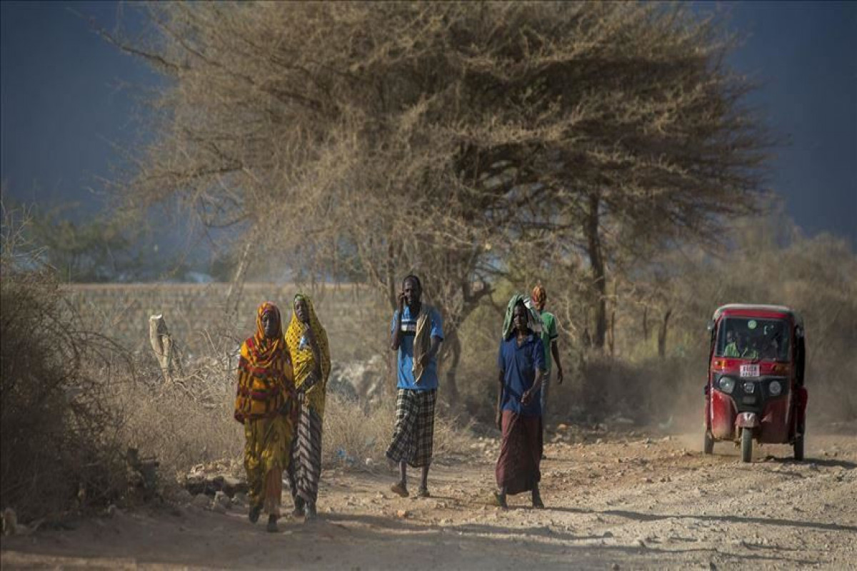 More than 2.73 mln people in Somalia face food crisis: UN