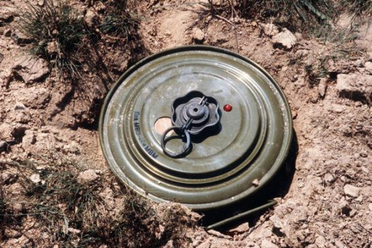 ICBL: Deadly legacy of the Nagorno Karabakh conflict continues to claim lives