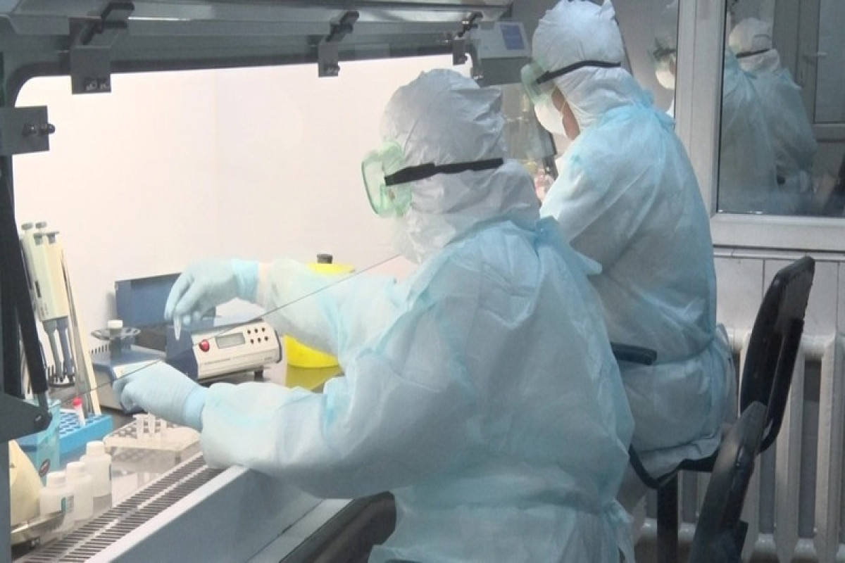 Kyrgyzstan reports 619 new coronavirus cases, 5 deaths