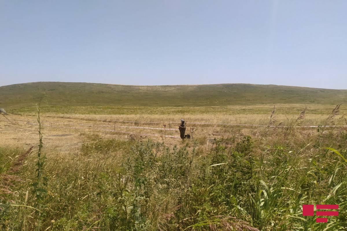 Media representatives view the demining process in Fuzuli