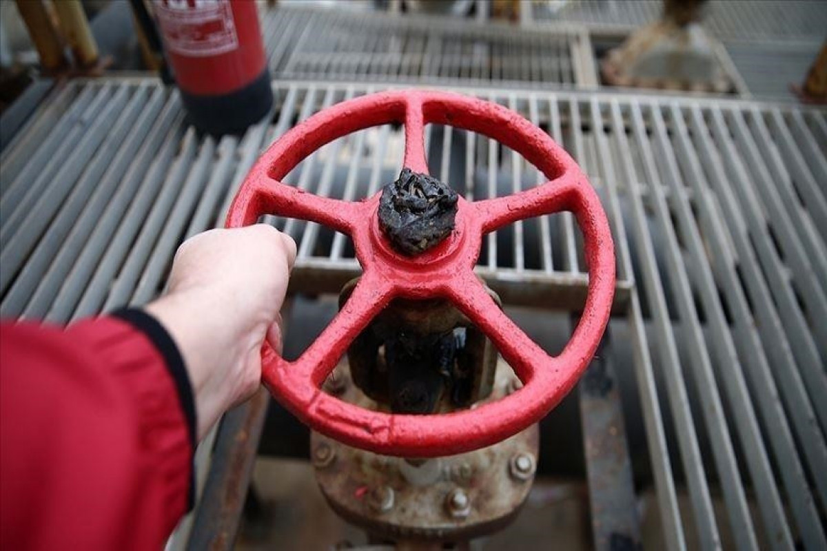 SOCAR signals potential cooperation with Turkish Petroleum in Black Sea