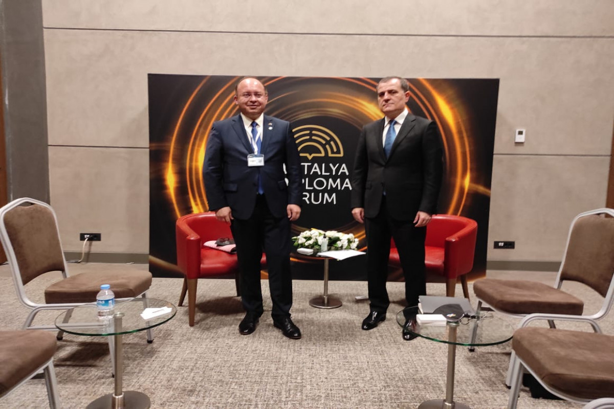 Romanian Minister: "It is important to hold negotiations between Azerbaijan and Armenia on demarcation and landmine issues"
