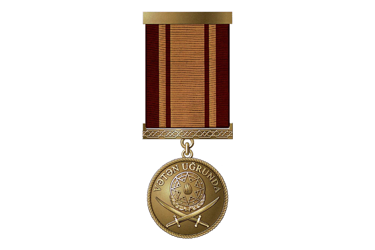 A group of servicemen awarded medal "For the Motherland"