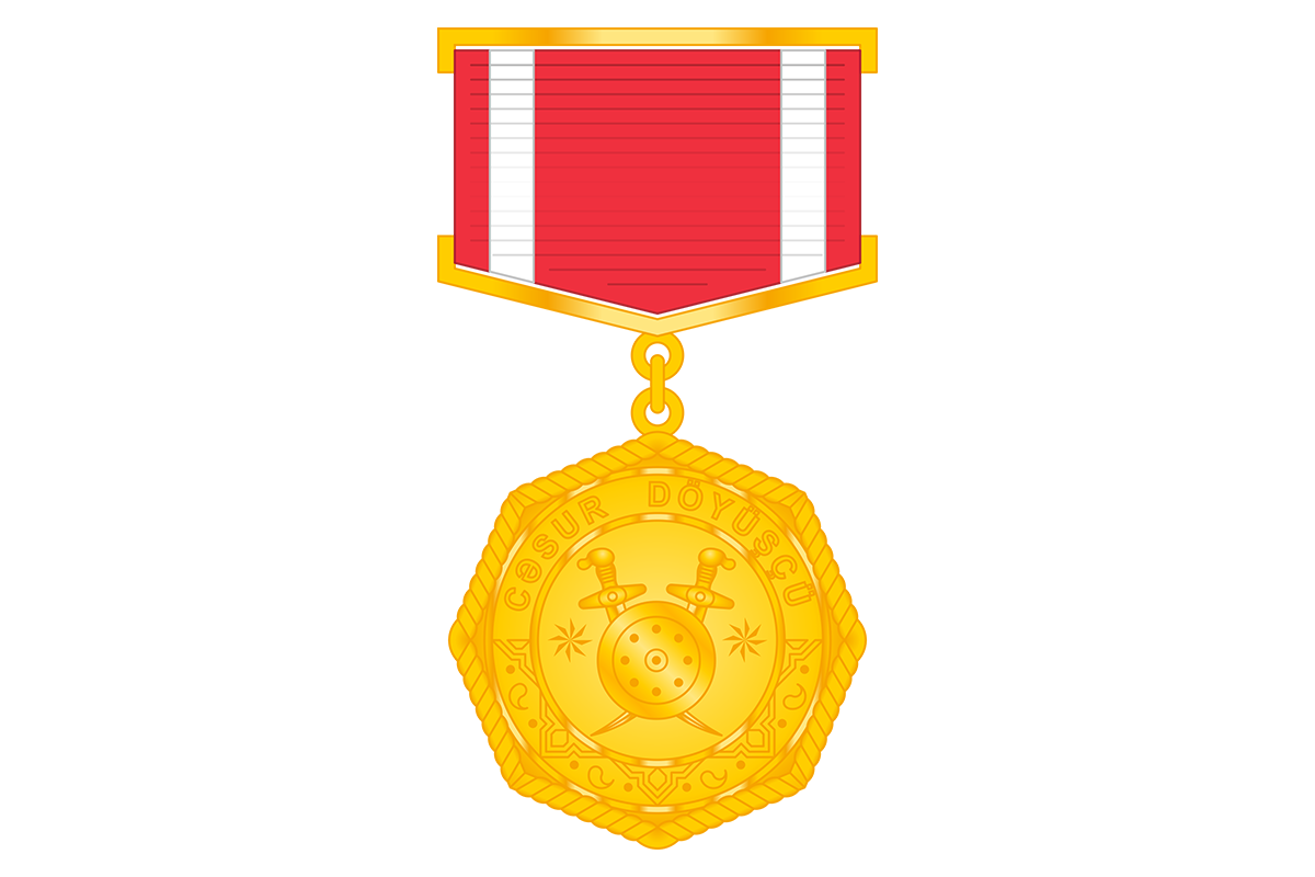 A group of servicemen awarded medal "Brave warrior"