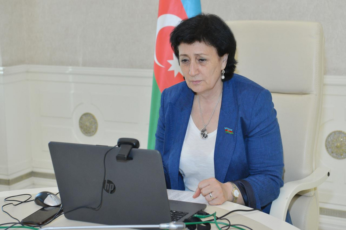 Azerbaijani MPs speak about Patriotic War in NATO PA Rose-Rout seminar