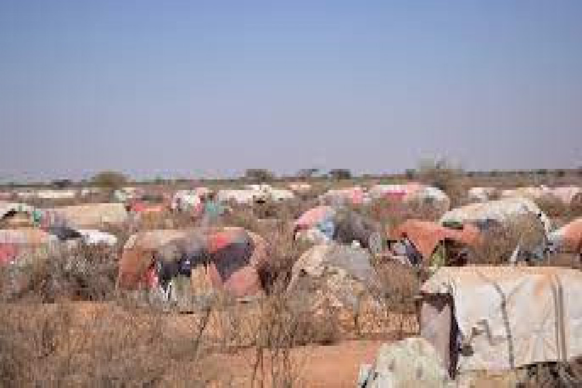 UN appeals for funding to help 5.9 mln in need of food aid in Somalia