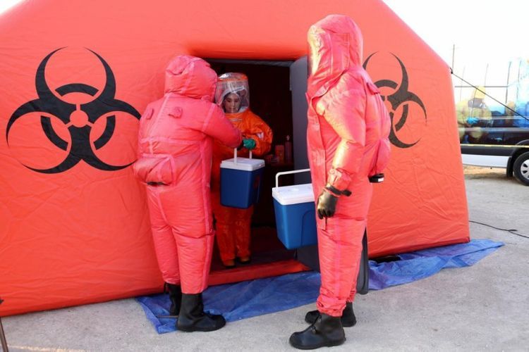 Azerbaijan’s FSA: Risk of spreading bird flu in Azerbaijan has increased