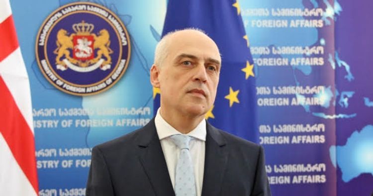 Georgian FM to visit Turkey