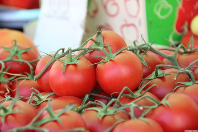 Russia partially lifts restriction on import of apples and tomatoes from Azerbaijan