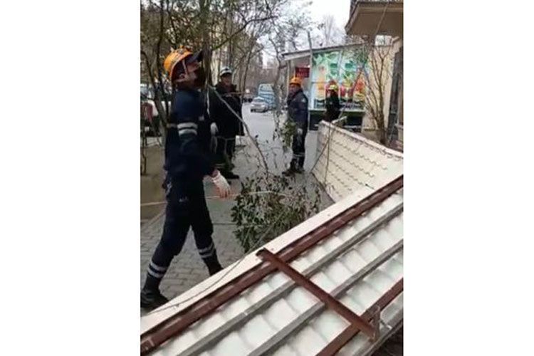 Emergency rescue units of Azerbaijani MES eliminate consequences of a strong wind - PHOTO - VIDEO