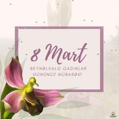 Azerbaijani FM congratulates ladies on March 8 - International Women's Day