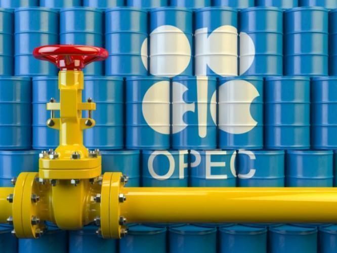 EIA reduces OPEC's oil production forecast