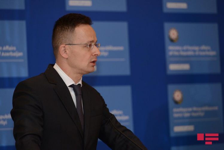Gov't supports activity of Hungarian companies in Karabakh, Hungarian FM says