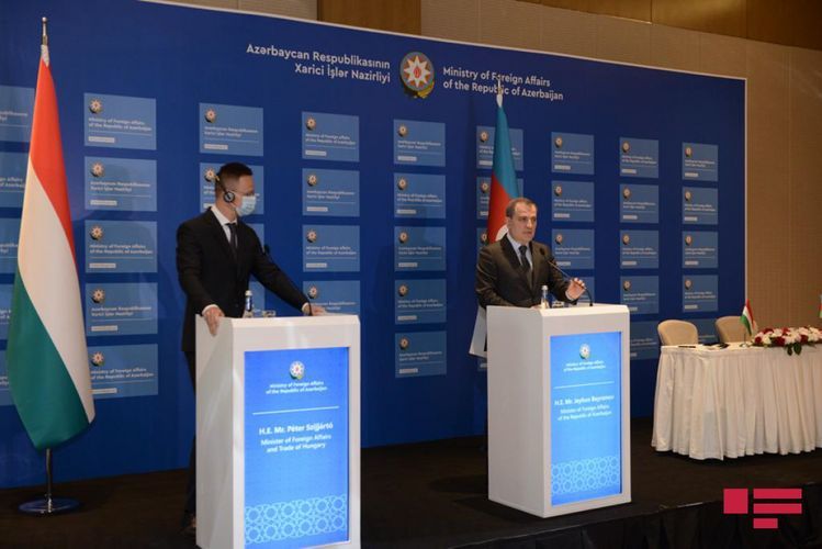 Minister: “Steps to be taken for restoration of Wizz Air flights to Azerbaijan”