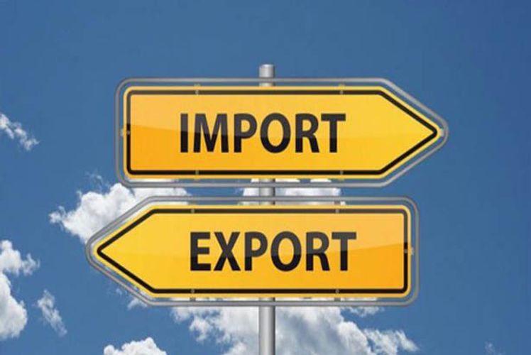 Trade turnover between Azerbaijan and Hungary increases by 9%