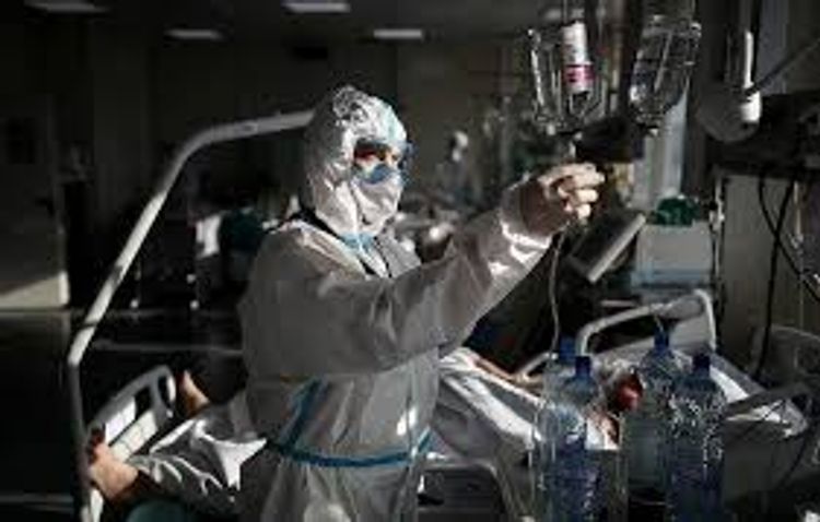 WHO reports over 492,000 new daily cases of COVID-19