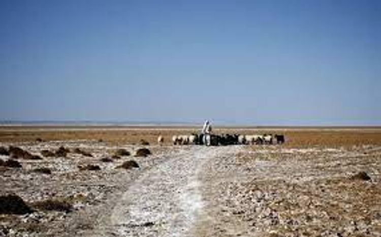 Blast kills one in restless Iranian border area