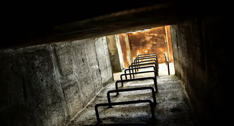 California woman finds cold war-era bomb shelter below her house