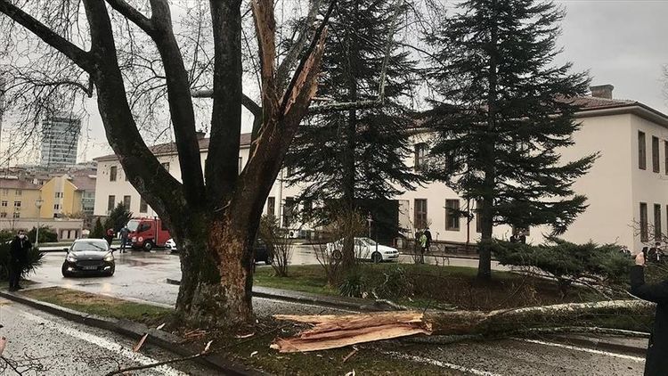 Lightning strikes at Turkish parliament's garden