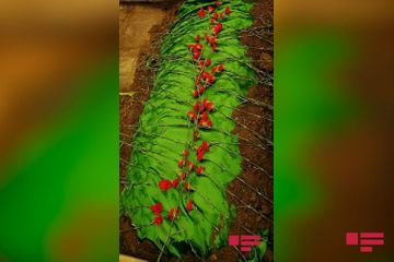 Azerbaijani People's Artist Ramiz Mammadov buried - UPDATED