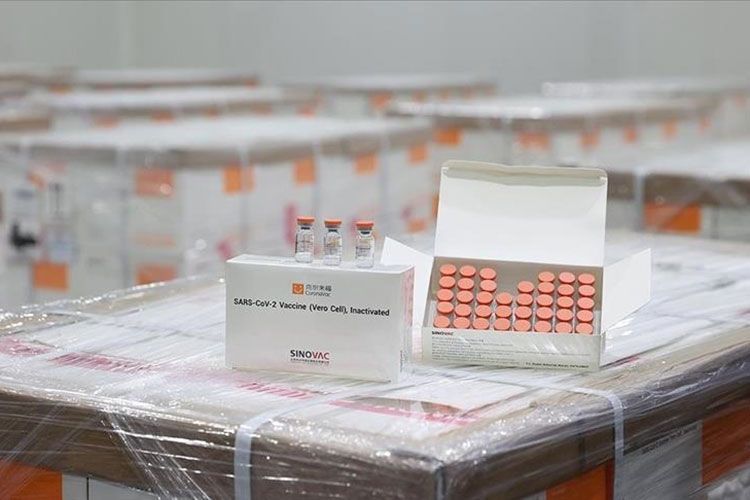 22,966 people vaccinated against COVID-19 in Azerbaijan over the past day